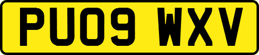 PU09WXV