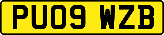 PU09WZB
