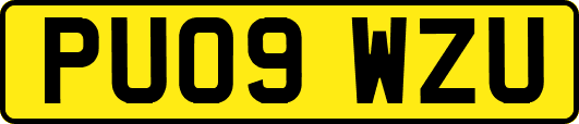 PU09WZU