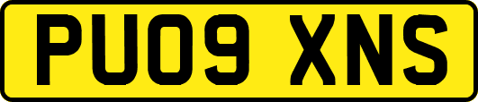 PU09XNS