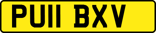 PU11BXV