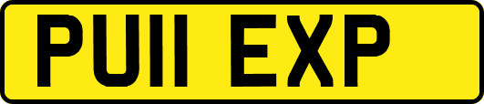 PU11EXP
