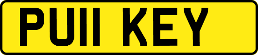 PU11KEY