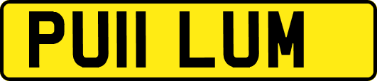 PU11LUM