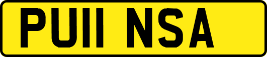 PU11NSA