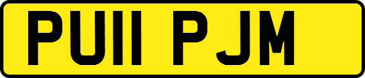 PU11PJM