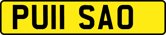 PU11SAO