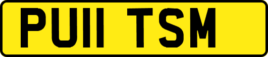 PU11TSM