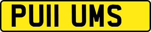 PU11UMS