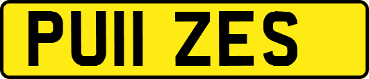 PU11ZES
