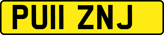 PU11ZNJ
