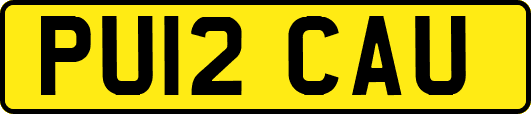 PU12CAU