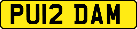 PU12DAM