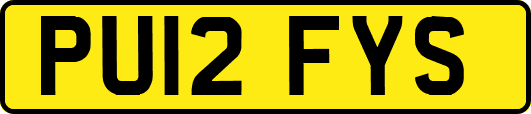 PU12FYS