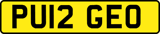 PU12GEO