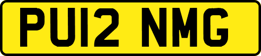 PU12NMG