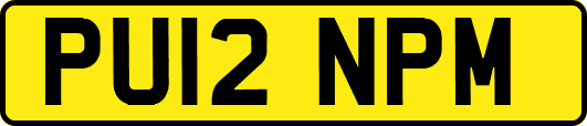 PU12NPM