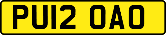 PU12OAO