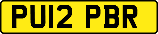 PU12PBR