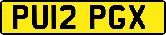 PU12PGX