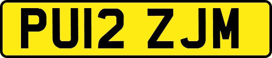 PU12ZJM