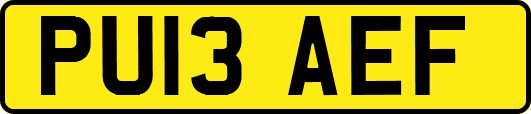 PU13AEF