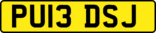 PU13DSJ