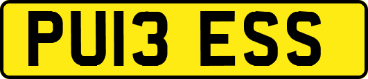PU13ESS