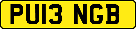 PU13NGB