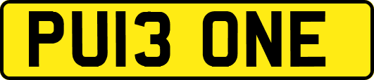 PU13ONE