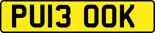 PU13OOK