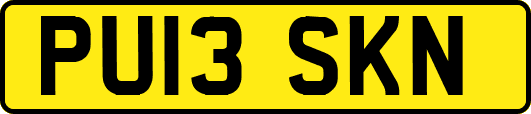 PU13SKN