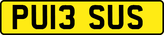 PU13SUS