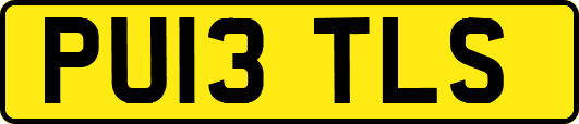 PU13TLS