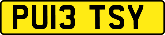 PU13TSY