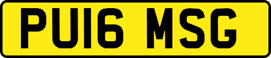 PU16MSG