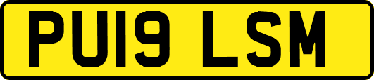 PU19LSM