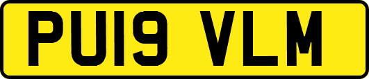 PU19VLM