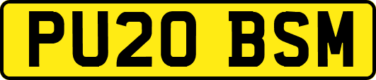 PU20BSM