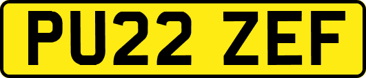 PU22ZEF