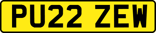 PU22ZEW