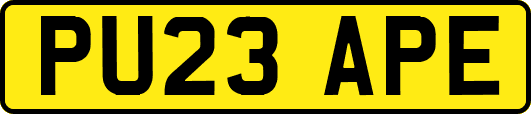 PU23APE