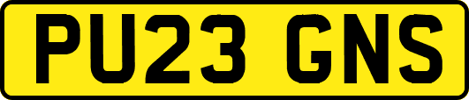 PU23GNS