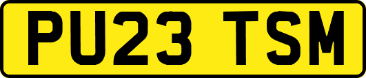 PU23TSM