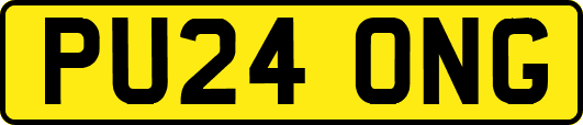 PU24ONG