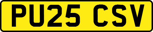 PU25CSV
