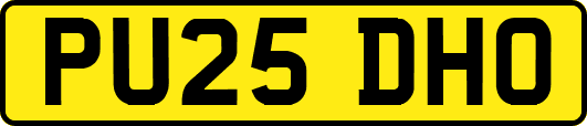 PU25DHO