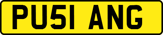 PU51ANG