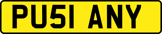 PU51ANY