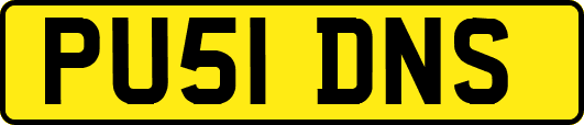 PU51DNS